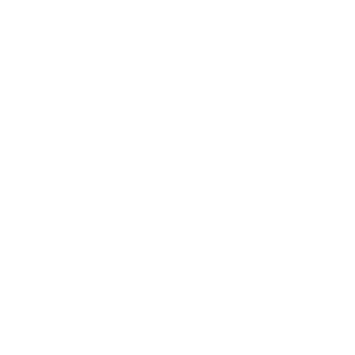 Local SEO | SEO Audits